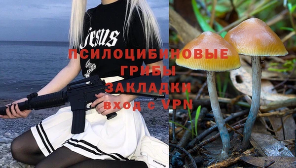гидра Красноперекопск