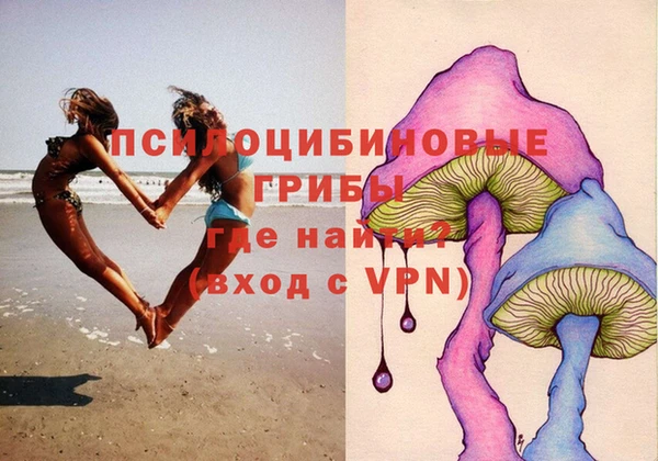 гидра Красноперекопск
