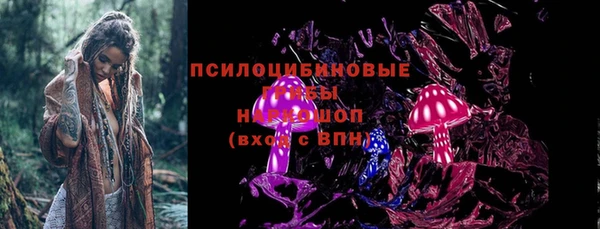 гидра Красноперекопск