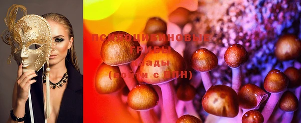 мдма Краснослободск