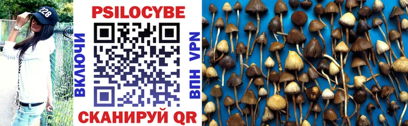 Галлюциногенные грибы Psilocybe  наркотики  Ядрин 